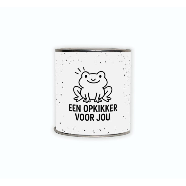 Cadeaublikje met de tekst “Een opkikker voor jou!”